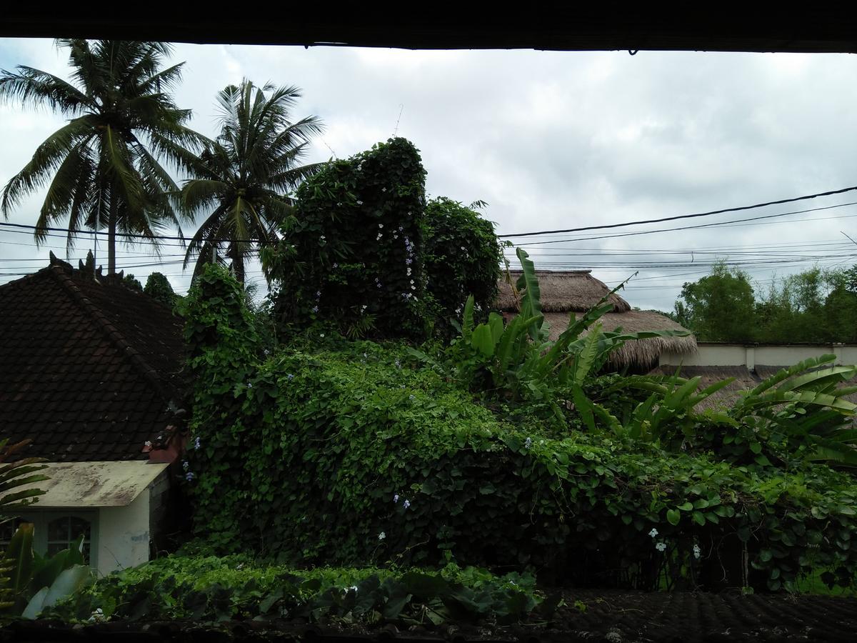 Villa Gaia Ubud  Luaran gambar